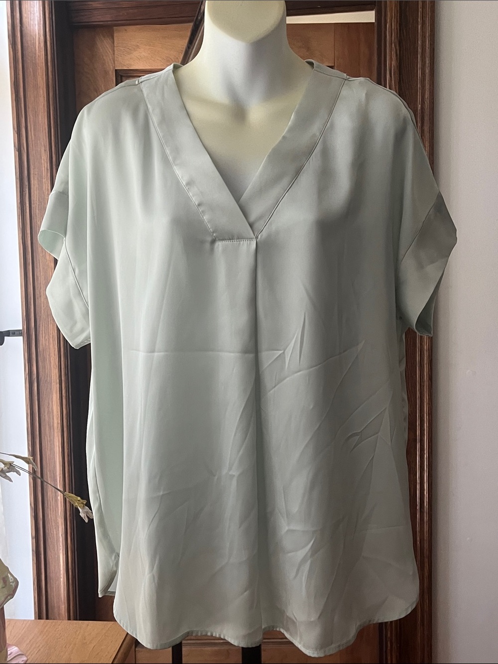 The Limited Light Mint V-Neck Dolman Sleeve Blouse